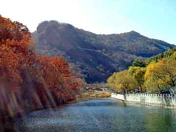 天天彩好彩天天免费，家电面板